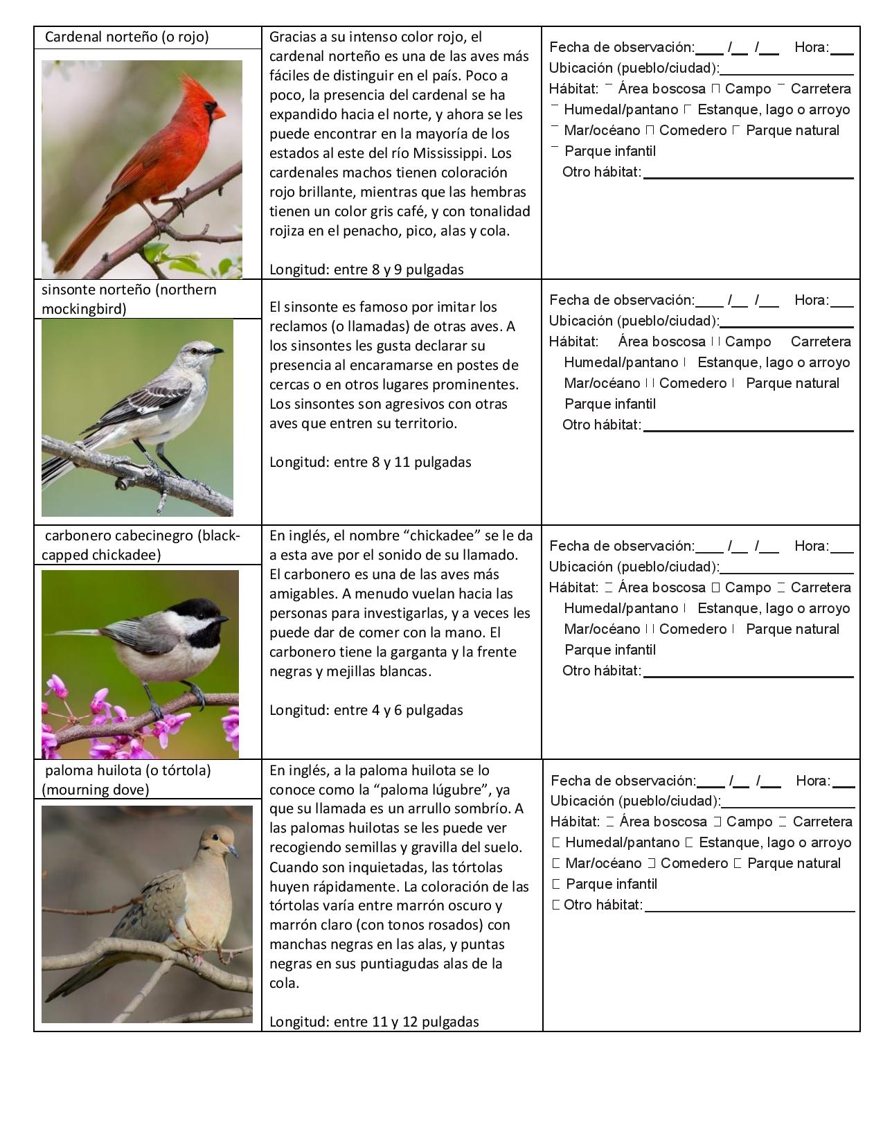 Beginning Bird Challenge In Spanish Pdf Woodbury Public Library